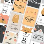 Babakártya | Kismamakártya | Minimál állatkák | 30 db