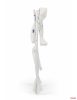 CAM Volare 2025 fürdetőállvány és pelenkázó /C261/