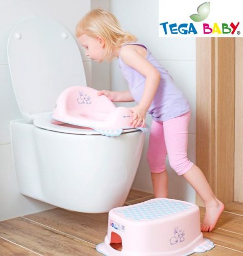 TegaBaby fellépő - meteo rózsa
