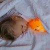 Mary's éjjeli fény akkumulátoros - Róka